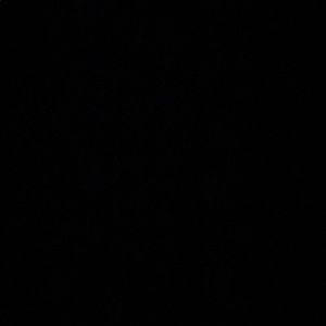 Meet your Posher, Harry